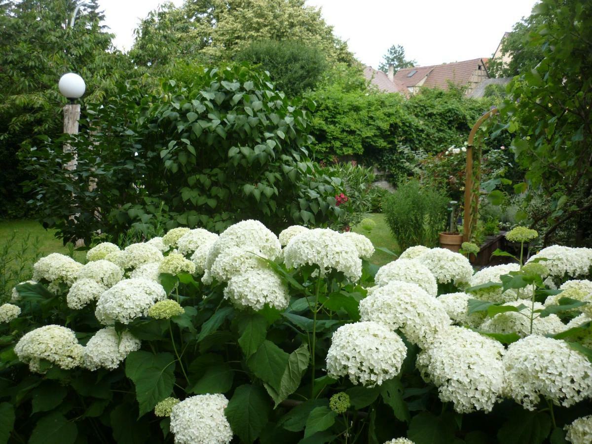 Haus Am Sandsteinbruch Zaberfeld ภายนอก รูปภาพ